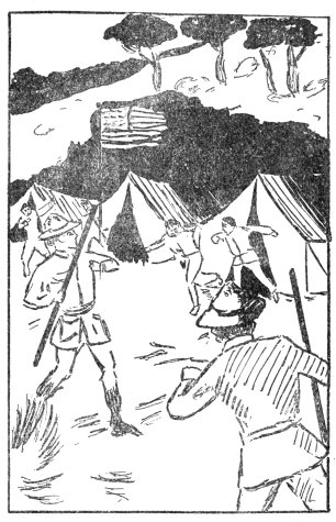 "COME ON, FELLOWS; US TO THE ATTACK!" CALLED BOBOLINK.
Banner Boy Scouts on a Tour, Page 217