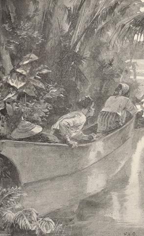 Illustration: They forced the canoe behind bushes, so as to be entirely concealed.