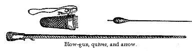 Blow-gun, quiver, and arrow.