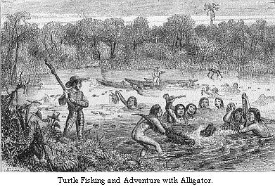 Turtle fishing and adventure with alligator.