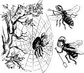bees flying toward web