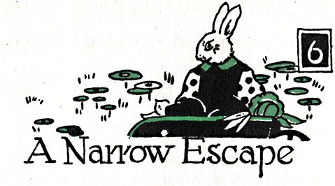 6 A Narrow Escape