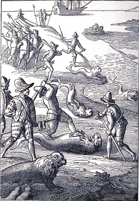 A Sea-lion Hunt