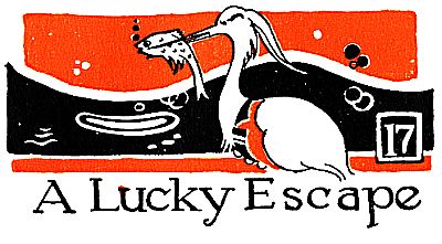 17: A Lucky Escape
