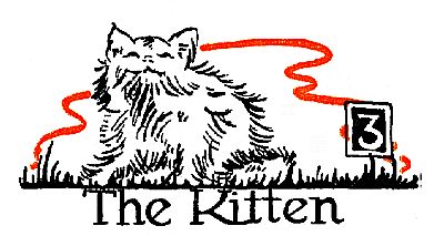 3: The Kitten