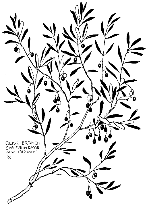 Olive Branch
Simplified In Decorative
Treatment