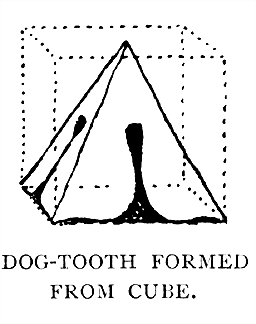 Dog-tooth Formed From Cube.