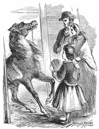 A pony dancing in front of a girl playing an accordian, with a man and woman watching