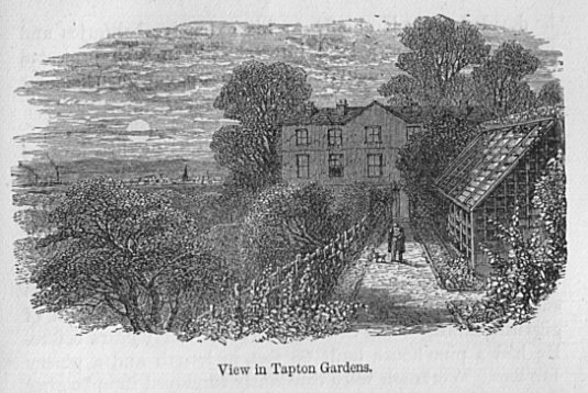 View in Tapton Gardens