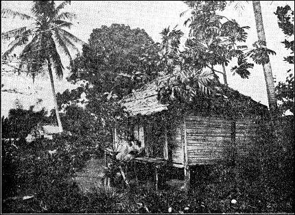 A SHACK—A PEASANT'S RESIDENCE.