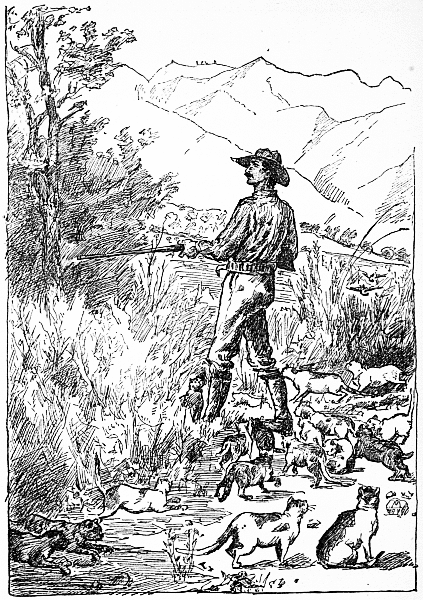 Jim and the Cats hunting Linnets.—Page 111.