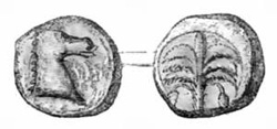 CARTHAGINIAN COIN. CARTHAGINIAN COIN.