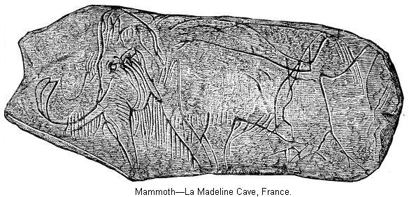 Mammoth—La Madeline Cave, France.