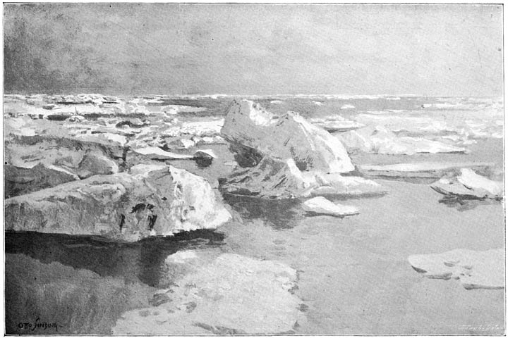First drift-ice. July 28, 1893