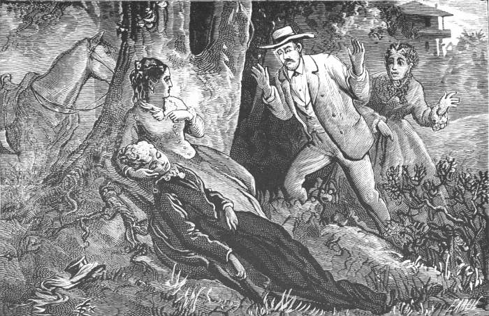 She soon discovered Mrs. Potter lying by the road-side,
groaning and in great pain. Page 64.