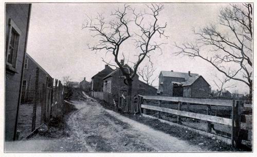 A Nantucket Lane