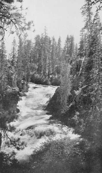 Along the Deschutes, the "River of Falls." "It roars and rushes, in
white-watered Cascades"

