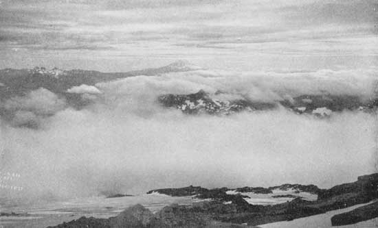 Looking across the clouds to Mount Adams from the flanks
of Rainier
