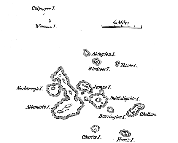 Fig. 11. Galapagos-Archipel.