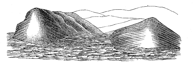 Fig. 13. Eine durchschnittartige Skizze der Banks' Cove bildenden Vorberge, um die
divergirenden craterförmigen Schichten und die innere convergirende geschichtete Böschung zu
zeigen. Der höchste Punkt dieser Berge ist 817 Fusz über dem Meeresspiegel.