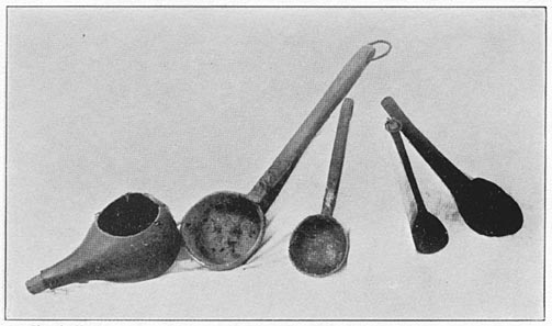 Gourd and wooden spoons