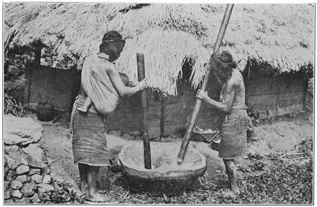 Women threshing rice