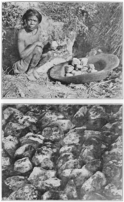 (a) Woman washing salt; (b) salt-incrusted rocks