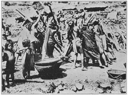 Ceremonial rice threshing in Samoki pueblo during the celebration of a captured head