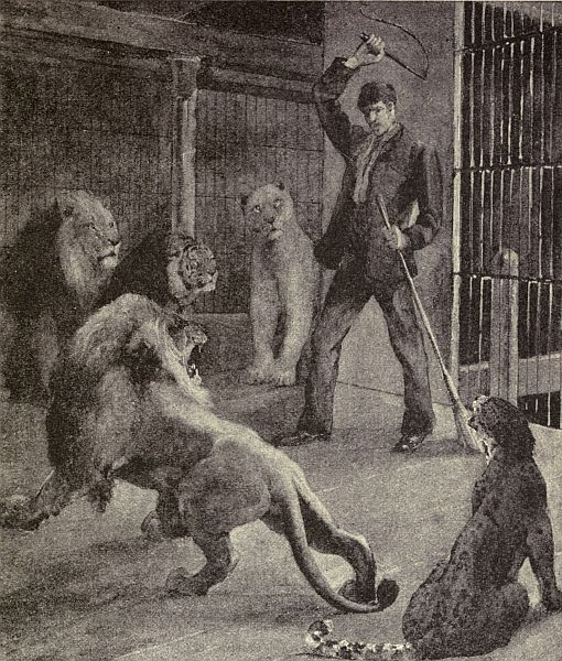 MAN IN CAGE WITH LIONS.