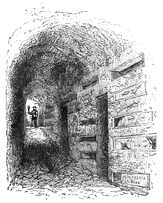Corridor Of Catacomb.