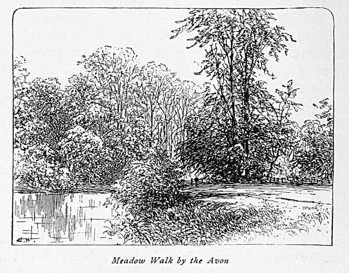 Meadow Walk by the Avon.