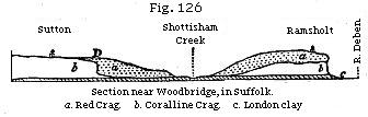 Fig. 126: Section near Woodbridge, in Suffolk.