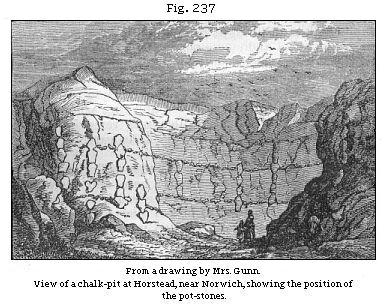 View of a chalk-pit at Horstead, near Norwich, showing the position of the pot-stones.