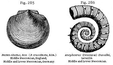 Fig. 285: Pecten cinctus. Fig. 286: Ancyloceras (Crioceras) Duvallei.