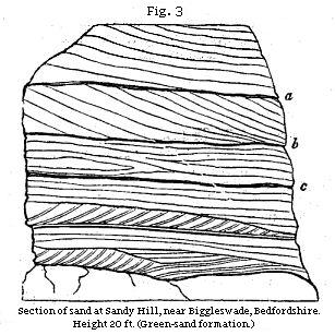 Fig. 3: Section of sand at Sandy Hill, near Biggleswade, Bedfordshire.