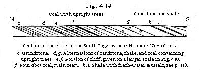 Fig. 439: Section of the cliffs of the South Joggins, near Minudie, Nova Scotia.