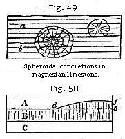 Fig. 49: Spheroidal concretions in magnesian limestone. Fig. 50: Section through strata of grit.