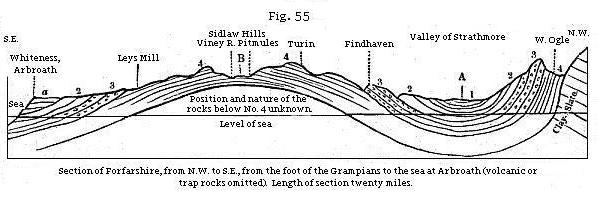 Fig. 55: Section of Forfarshire, from N.W. to S.E.