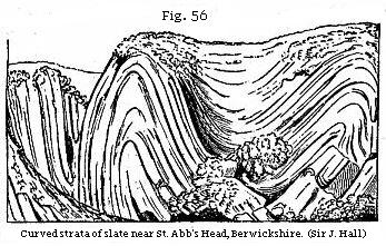 Fig. 56: Curved strata of slate near St. Abb’s Head, Berwickshire.
