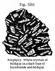 Fig. 586: Porphyry. White crystals of feldspar in a dark base of hornblende
and feldspar.