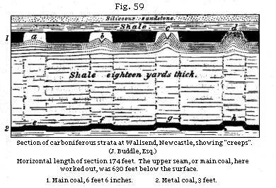 Fig. 59: Section of carboniferous strata at Wallsend showing ‘creeps’.