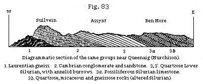 Fig. 83: Diagrammatic
section of the same groups near Queenaig (Murchison).