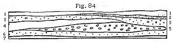 Fig. 84: Seven fossiliferous groups.