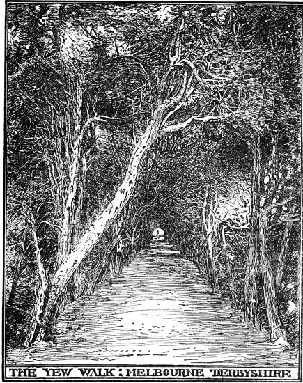 THE YEW WALK; MELBOURNE DERBYSHIRE

BY F. INIGO THOMAS.

FROM BLOMFIELD'S 'THE FORMAL GARDEN.'

BY LEAVE OF MESSRS. MACMILLAN.