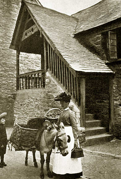 The Old Guildhall and Pillory, Looe