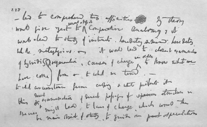 handwritten excerpt from Origin of Species