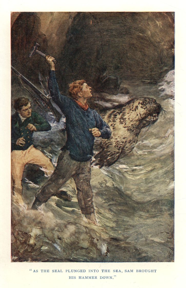 "AS THE SEAL PLUNGED INTO THE SEA, SAM BROUGHT HIS HAMMER DOWN."