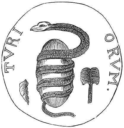 Fig. 23.—Serpent and Egg (Tyre).