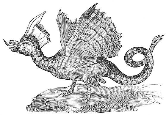 Fig. 26.—Swan-Dragon (French).