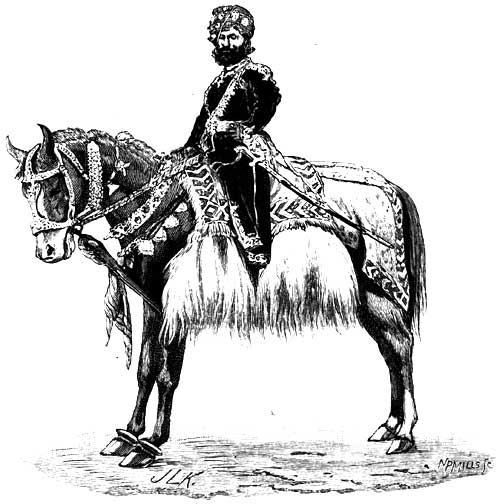 A RAJA'S HORSE (WAZIRI BREED)